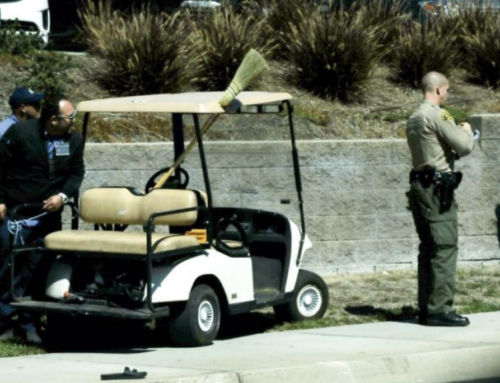 Man sentenced for stealing 63 golf carts in 7 states after caught trying again in Georgia