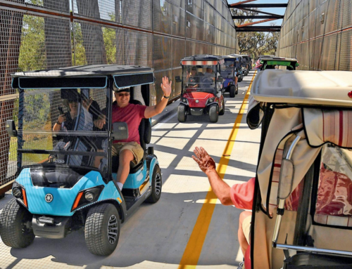 Community Spotlight: The Villages – Where Golf Carts Rule the Road